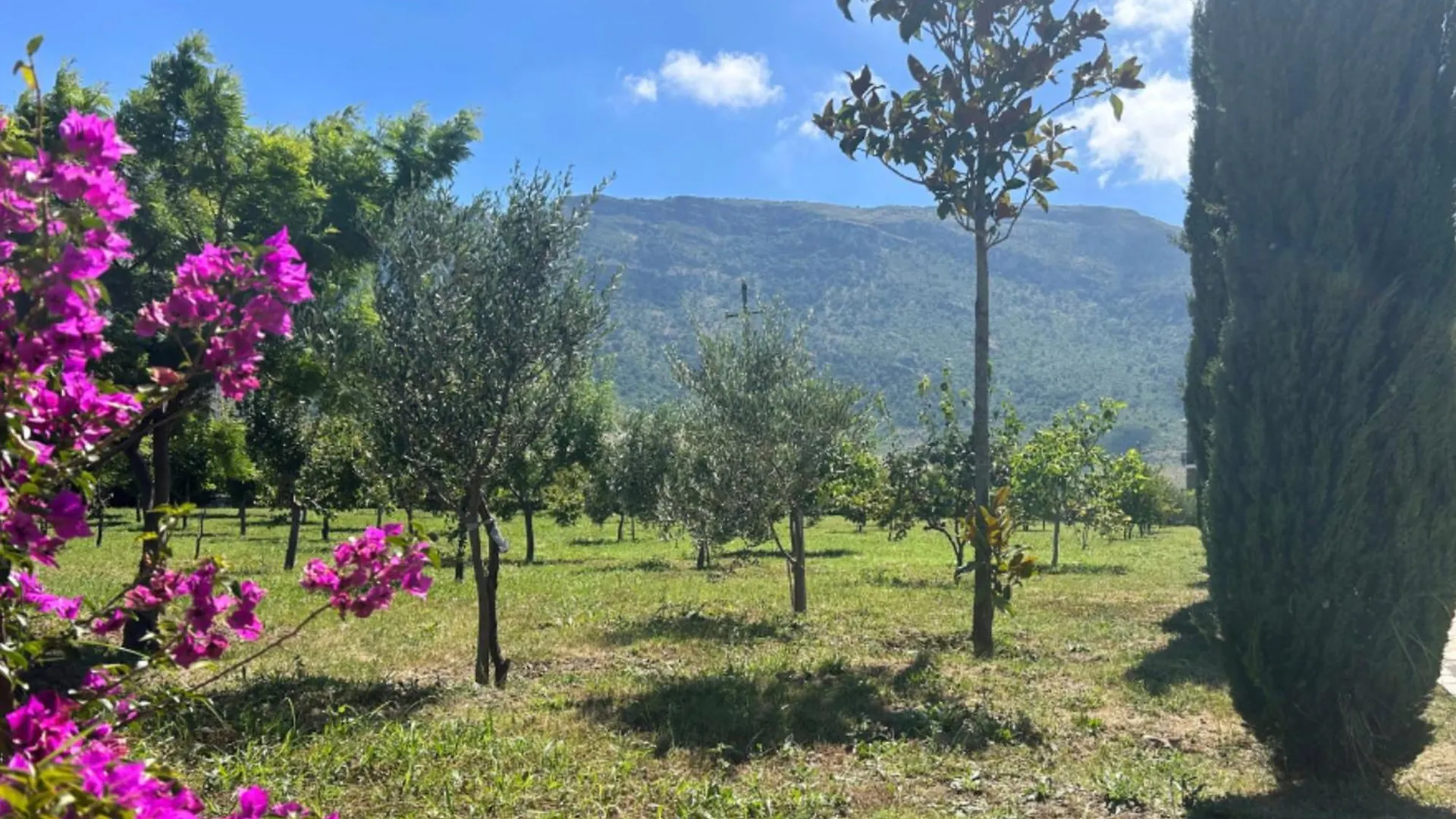 Hotel Vila Ami Trajas Albania